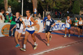 stafpat_3593