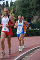 stafpat_3952