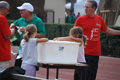 stafpat_6906