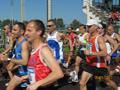 salvatori_ne_1564