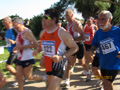 salvatori_ne_1584