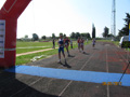 salvatori_ne_1674