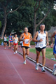 stafpat_0557