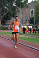stafpat_0604