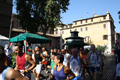 noartri_0570