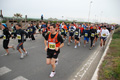 lidense_pat_3371