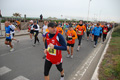lidense_pat_3415