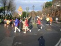 20101226_095047_passeggiatasstefano