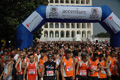 dominici_cup_2846
