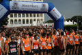 dominici_cup_2847