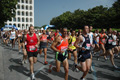 dominici_cup_2863