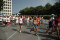 dominici_cup_2911