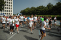 dominici_cup_2912
