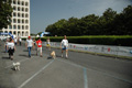 dominici_cup_2945