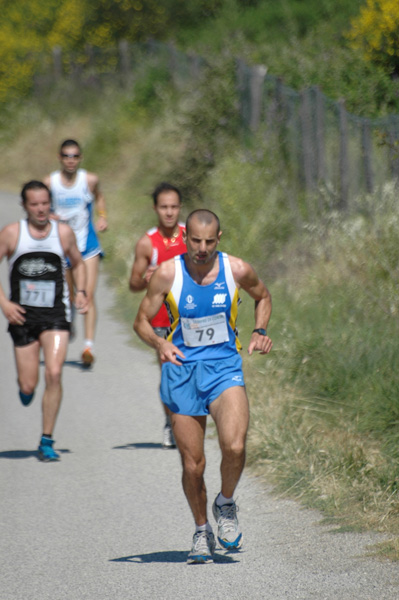 Maratonina di Villa Adriana (23/05/2010) dominici_va_2187
