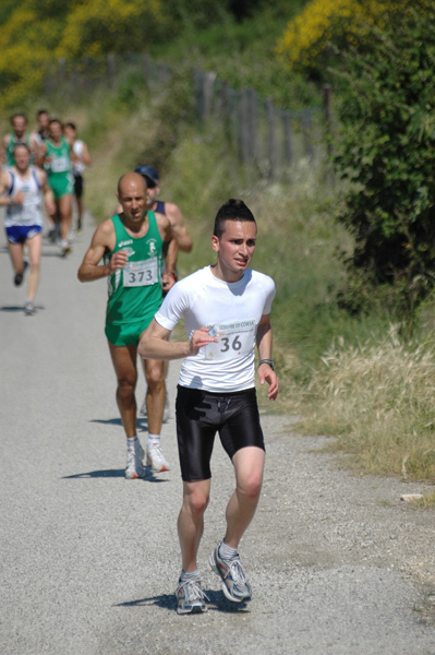 Maratonina di Villa Adriana (23/05/2010) dominici_va_2221