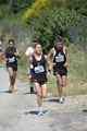 dominici_va_2266