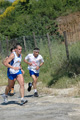 dominici_va_2268