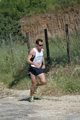 dominici_va_2271