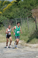 dominici_va_2272