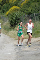 dominici_va_2282