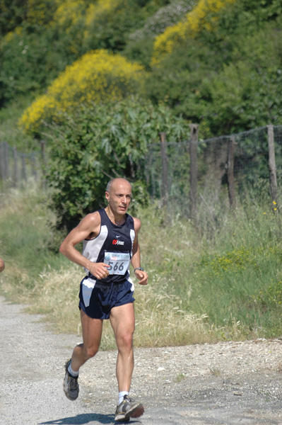 Maratonina di Villa Adriana (23/05/2010) dominici_va_2288