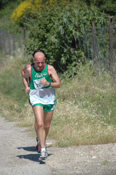 Maratonina di Villa Adriana (23/05/2010) dominici_va_2313
