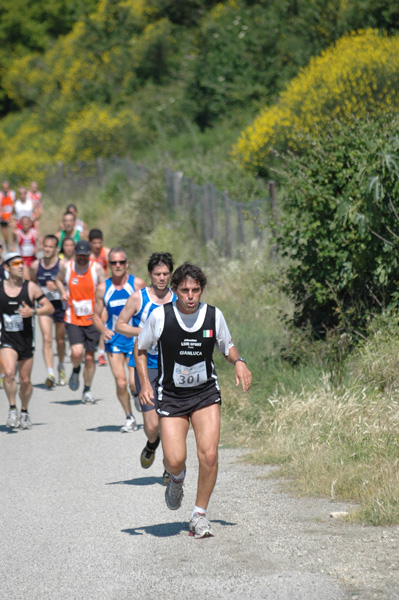 Maratonina di Villa Adriana (23/05/2010) dominici_va_2315