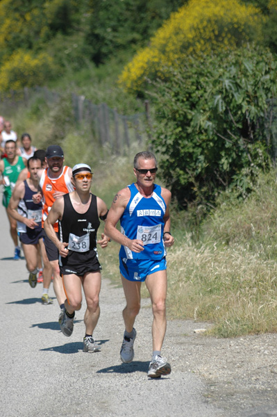 Maratonina di Villa Adriana (23/05/2010) dominici_va_2317