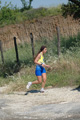 dominici_va_2321