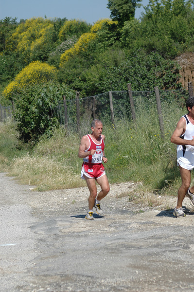 Maratonina di Villa Adriana (23/05/2010) dominici_va_2324
