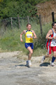 dominici_va_2345