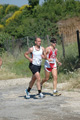 dominici_va_2351