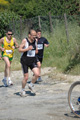 dominici_va_2358