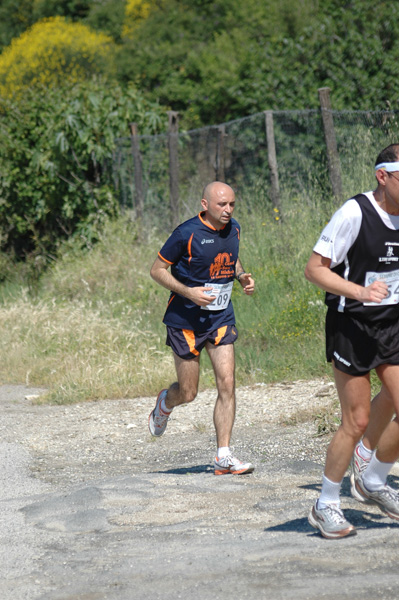 Maratonina di Villa Adriana (23/05/2010) dominici_va_2363