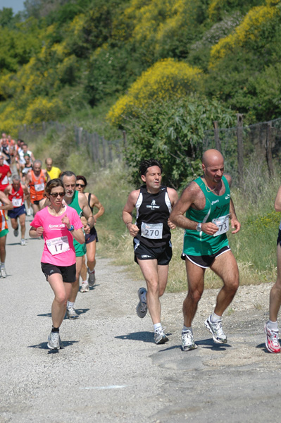 Maratonina di Villa Adriana (23/05/2010) dominici_va_2367