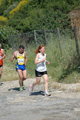 dominici_va_2372