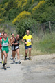 dominici_va_2376