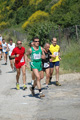 dominici_va_2377