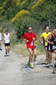 dominici_va_2378