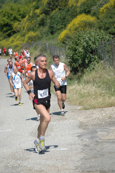 Maratonina di Villa Adriana (23/05/2010) dominici_va_2379
