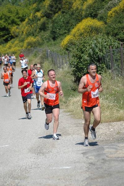 Maratonina di Villa Adriana (23/05/2010) dominici_va_2386