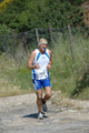 dominici_va_2388