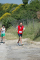 dominici_va_2389