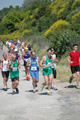 dominici_va_2393