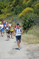 dominici_va_2400