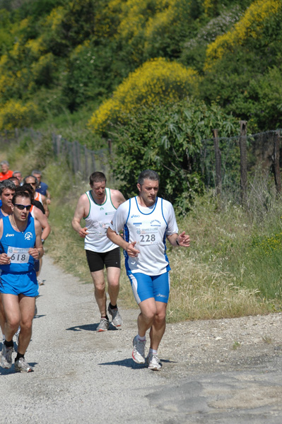 Maratonina di Villa Adriana (23/05/2010) dominici_va_2405
