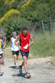 dominici_va_2412
