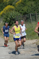 dominici_va_2413