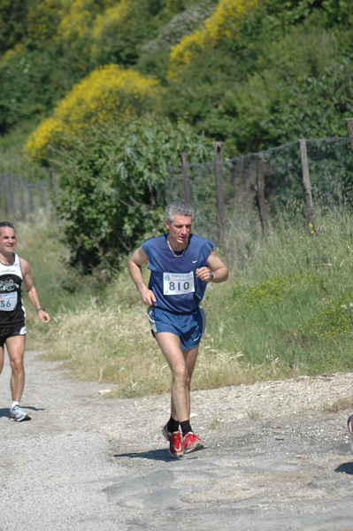 Maratonina di Villa Adriana (23/05/2010) dominici_va_2414